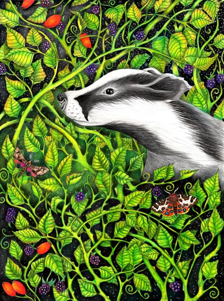 Fine Art Download - Badger in the Brambles