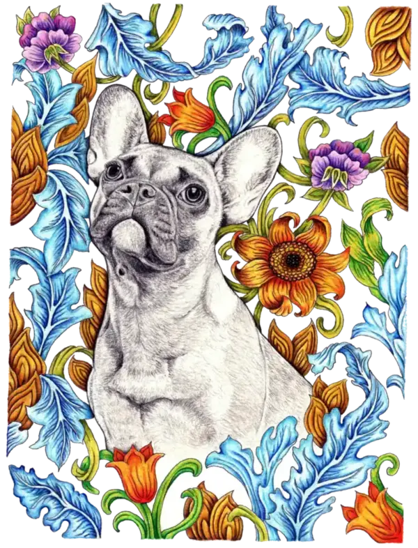 Fine Art Print - French Bulldog