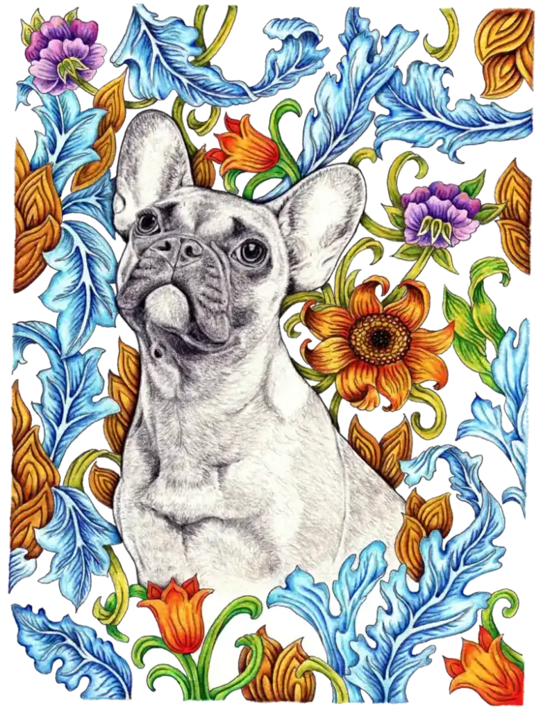 Fine Art Download - French Bulldog