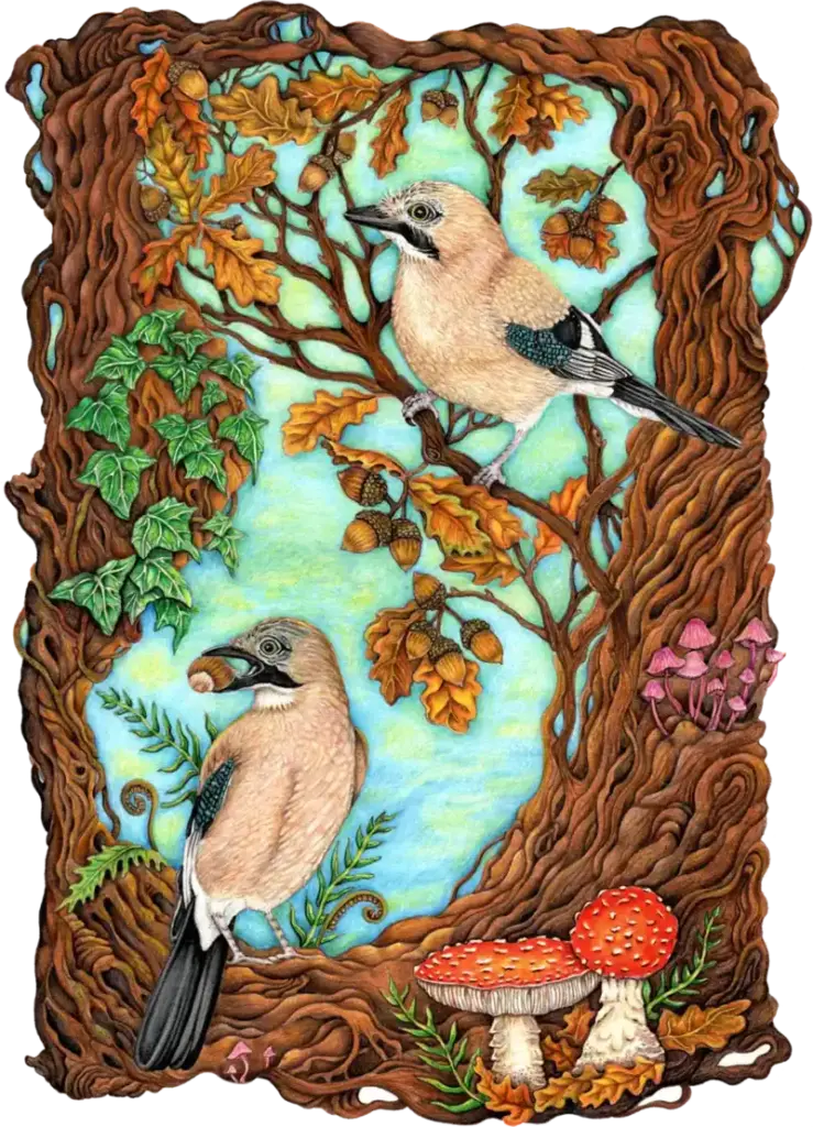 Fine Art Download - Acorn Collectors