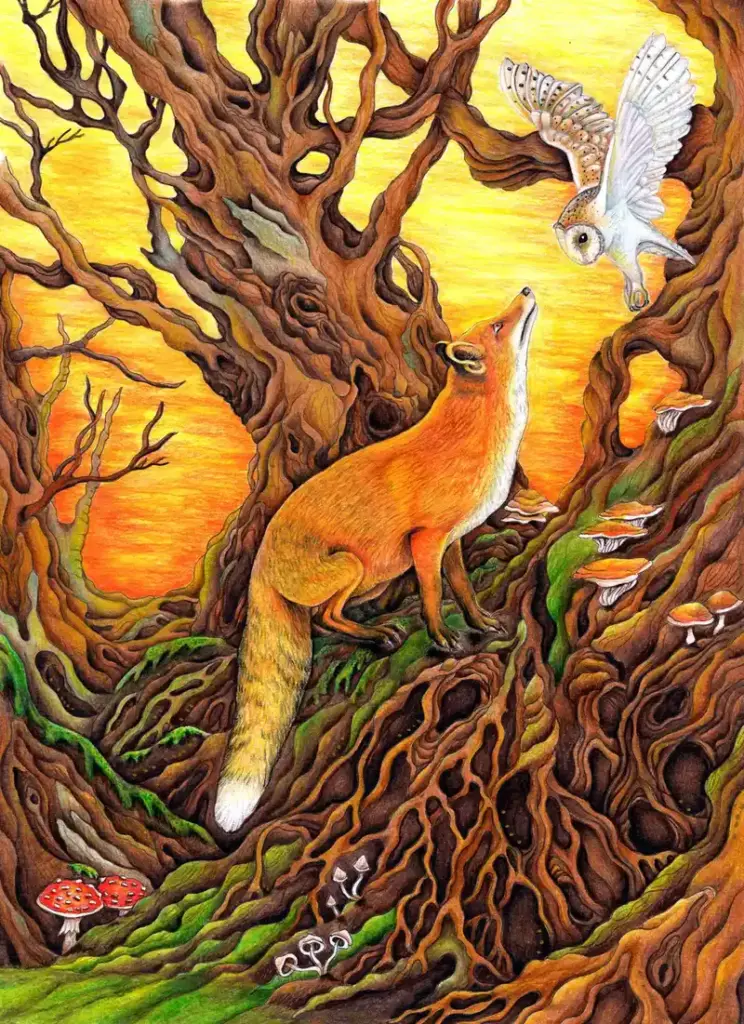 Fine Art Download - Fox and the Owl