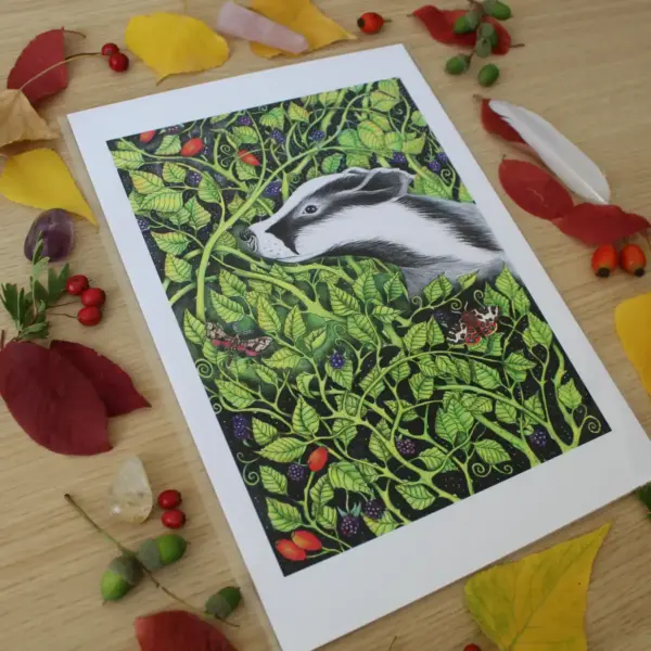 Fine Art Print - Badger in the Brambles - Image 2