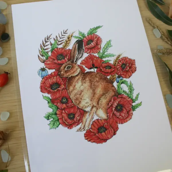 Fine Art Print - Hare in Poppies - Image 2