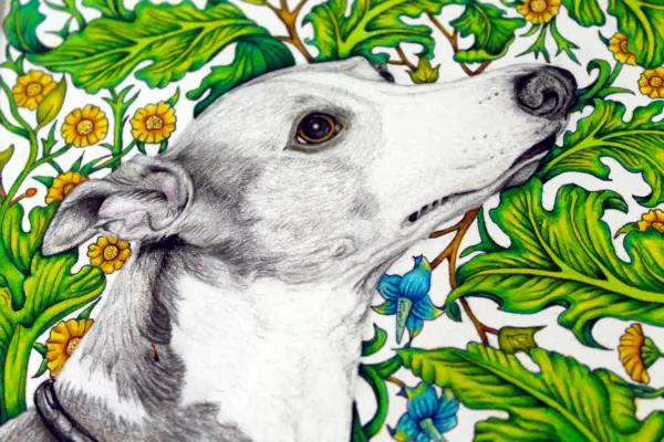 Original Art - Floral Greyhound (Framed) - Image 3