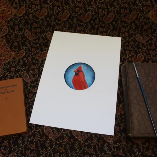 Fine Art Print - Cardinal (Limited Edition) - Image 2