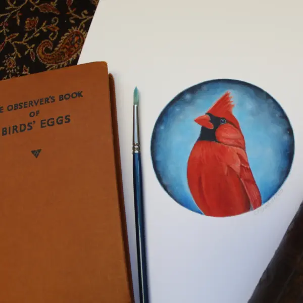 Fine Art Print - Cardinal (Limited Edition) - Image 3