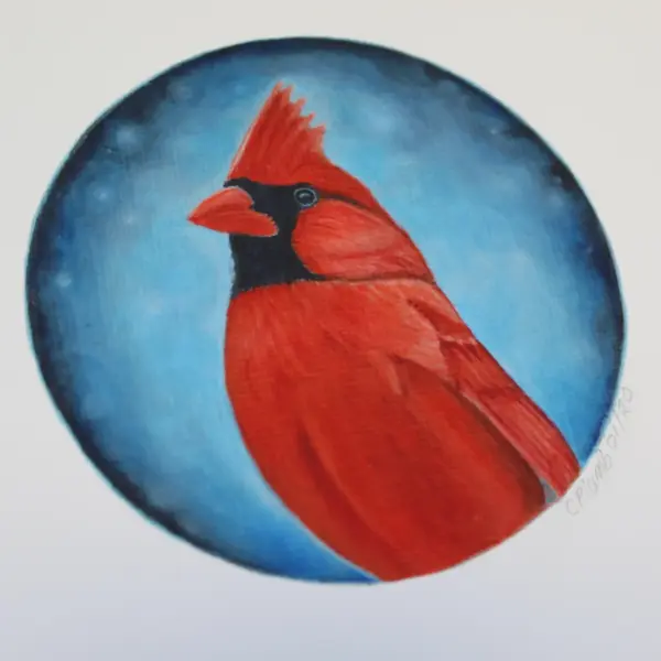 Fine Art Print - Cardinal (Limited Edition) - Image 4