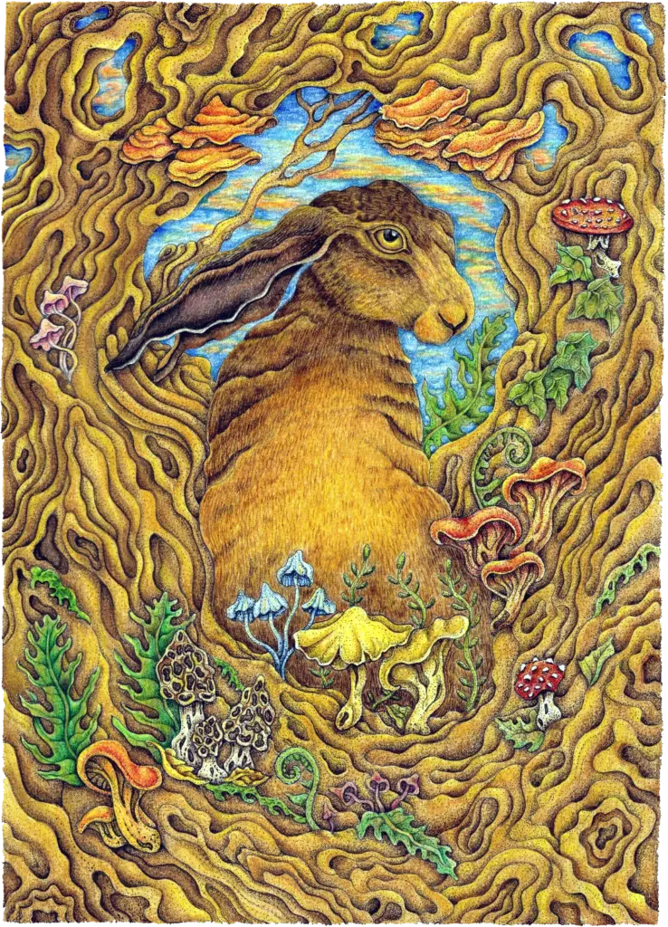 Autumn Hare