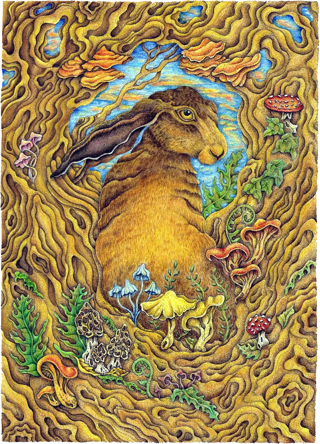 Autumn Hare