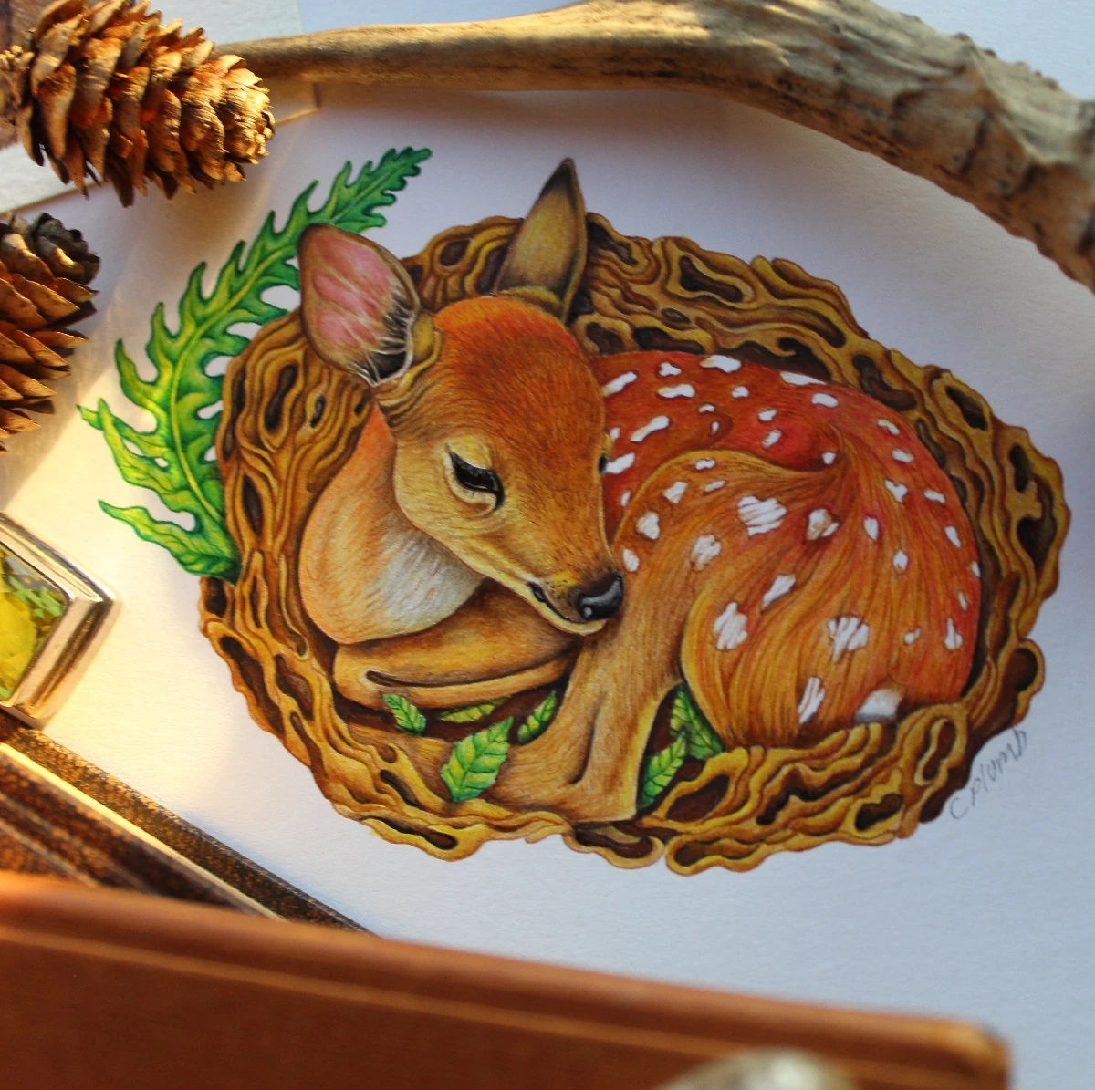 Fine-Art-Little-Fawn-1