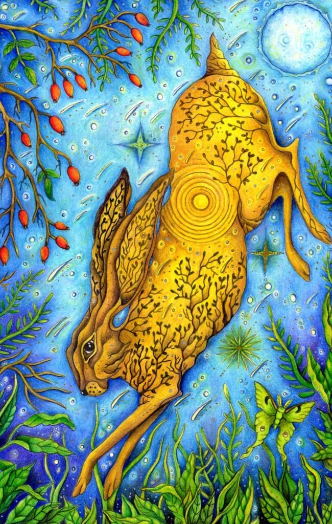 Shop Fine Art Prints