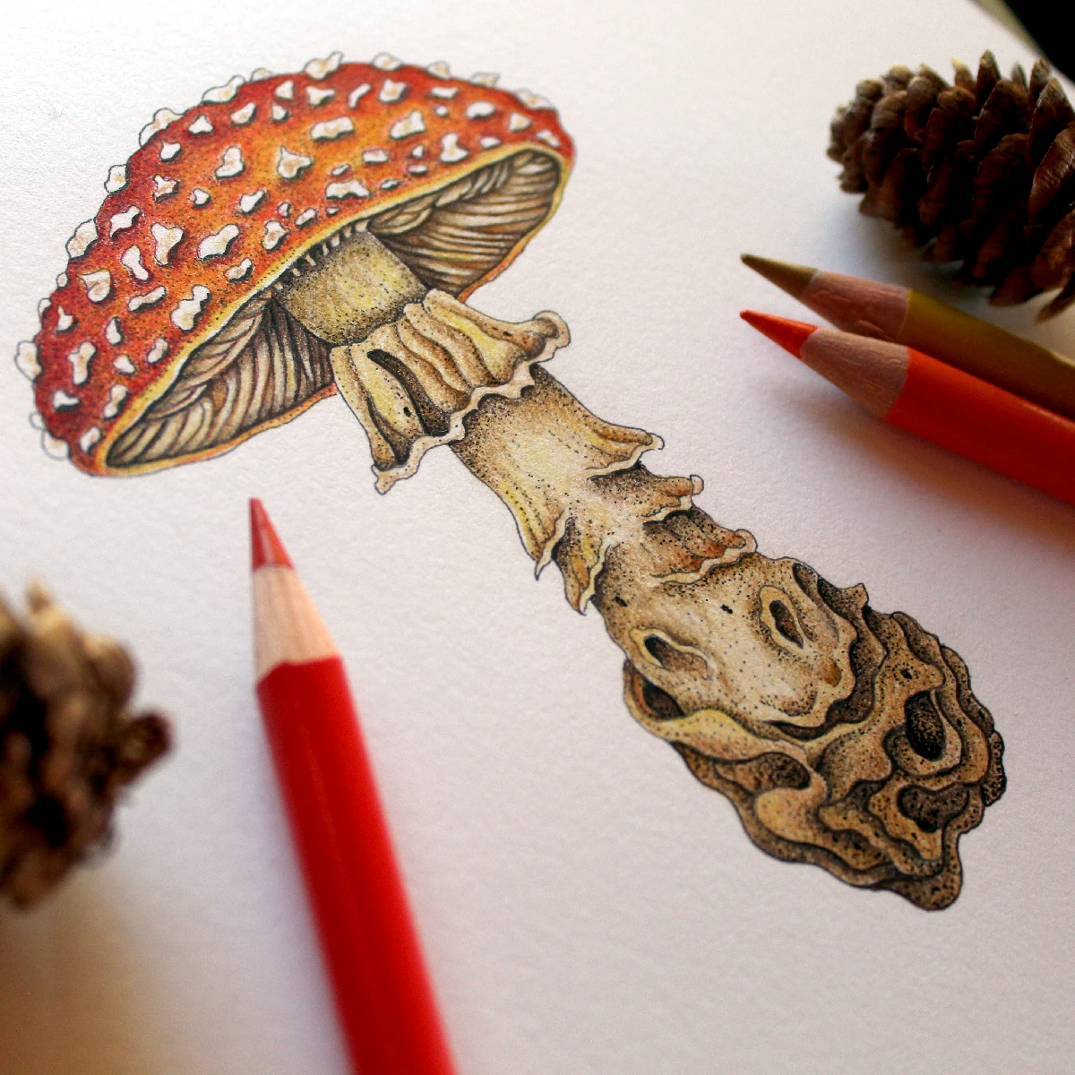 fine-art-amanita-1