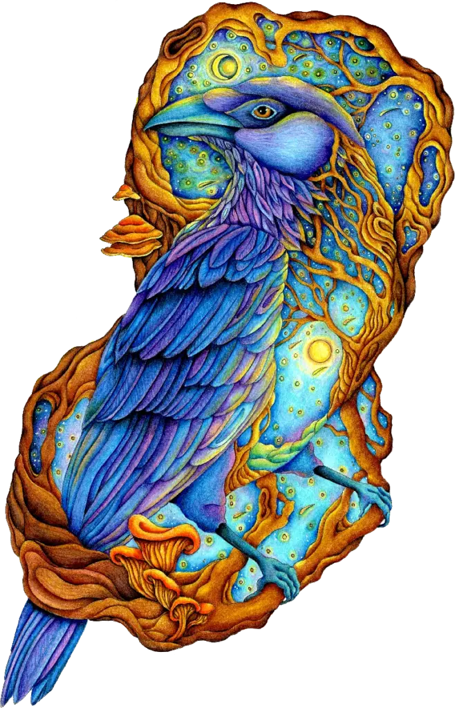 fine-art-raven