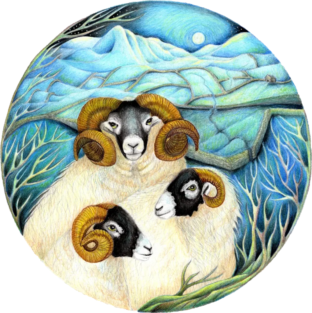 fine-art-three-swaledales