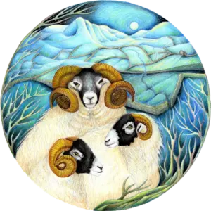 fine-art-three-swaledales