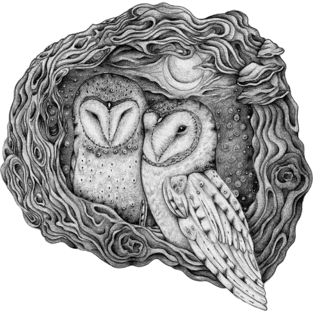 owls-graphite