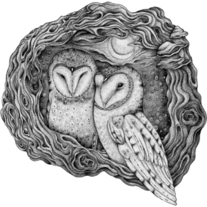 owls-graphite