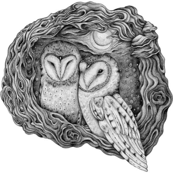 owls-graphite