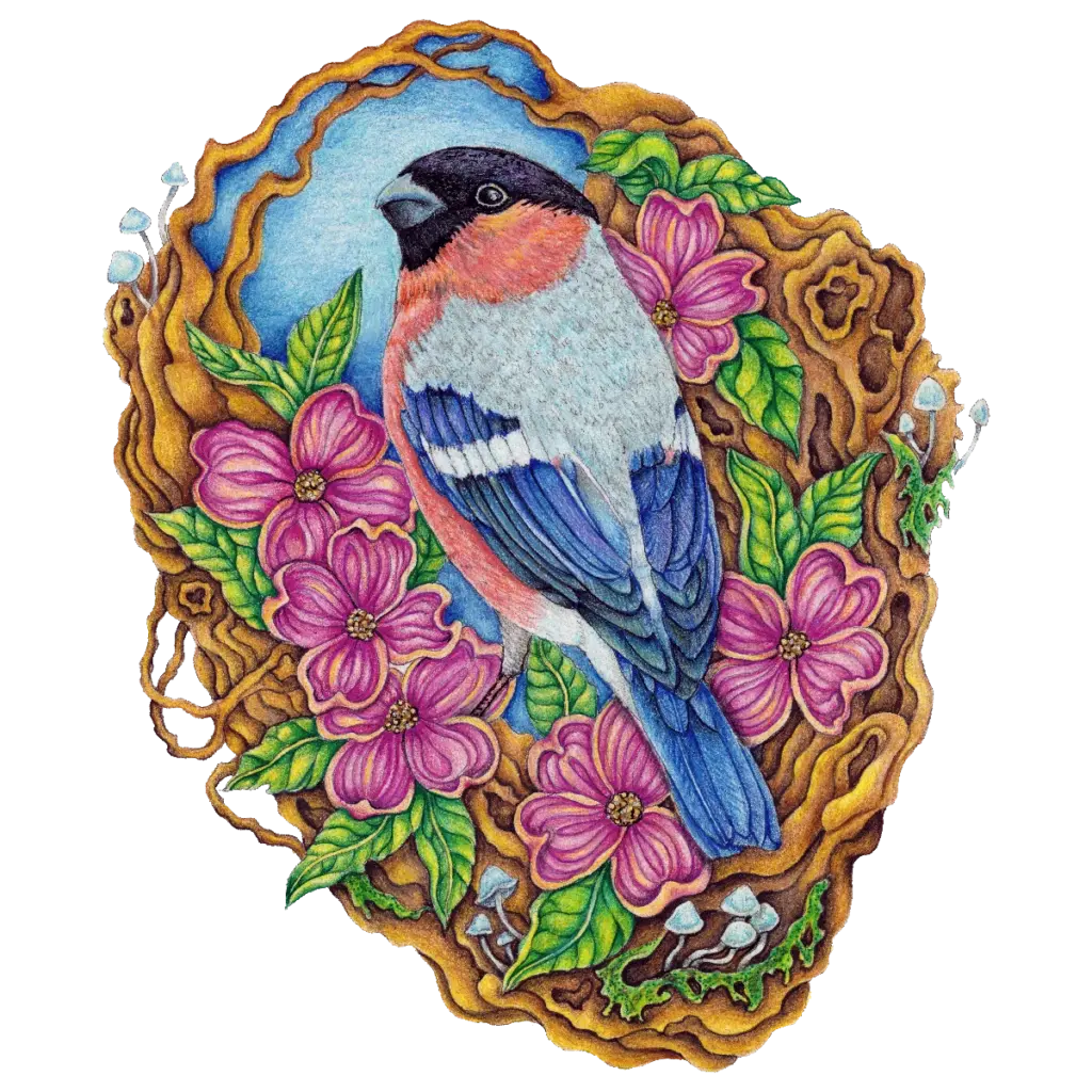 Bullfinch Fine Art