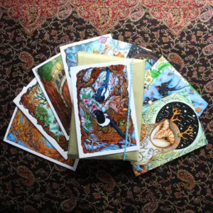 A6 Card Pack