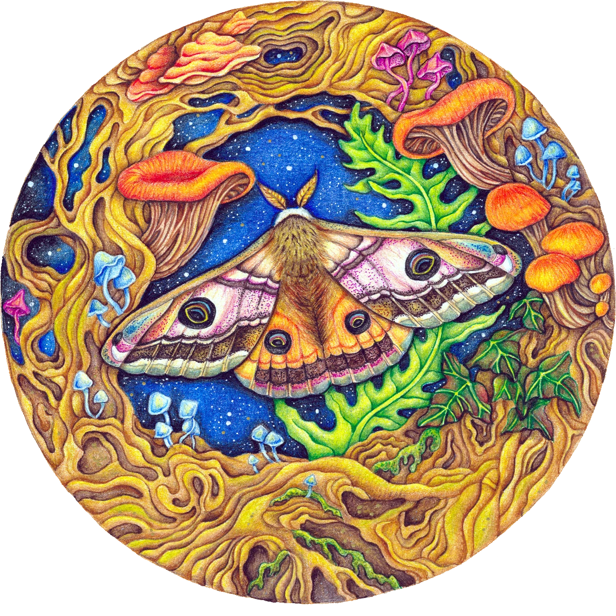 Emperor Moth Artwork