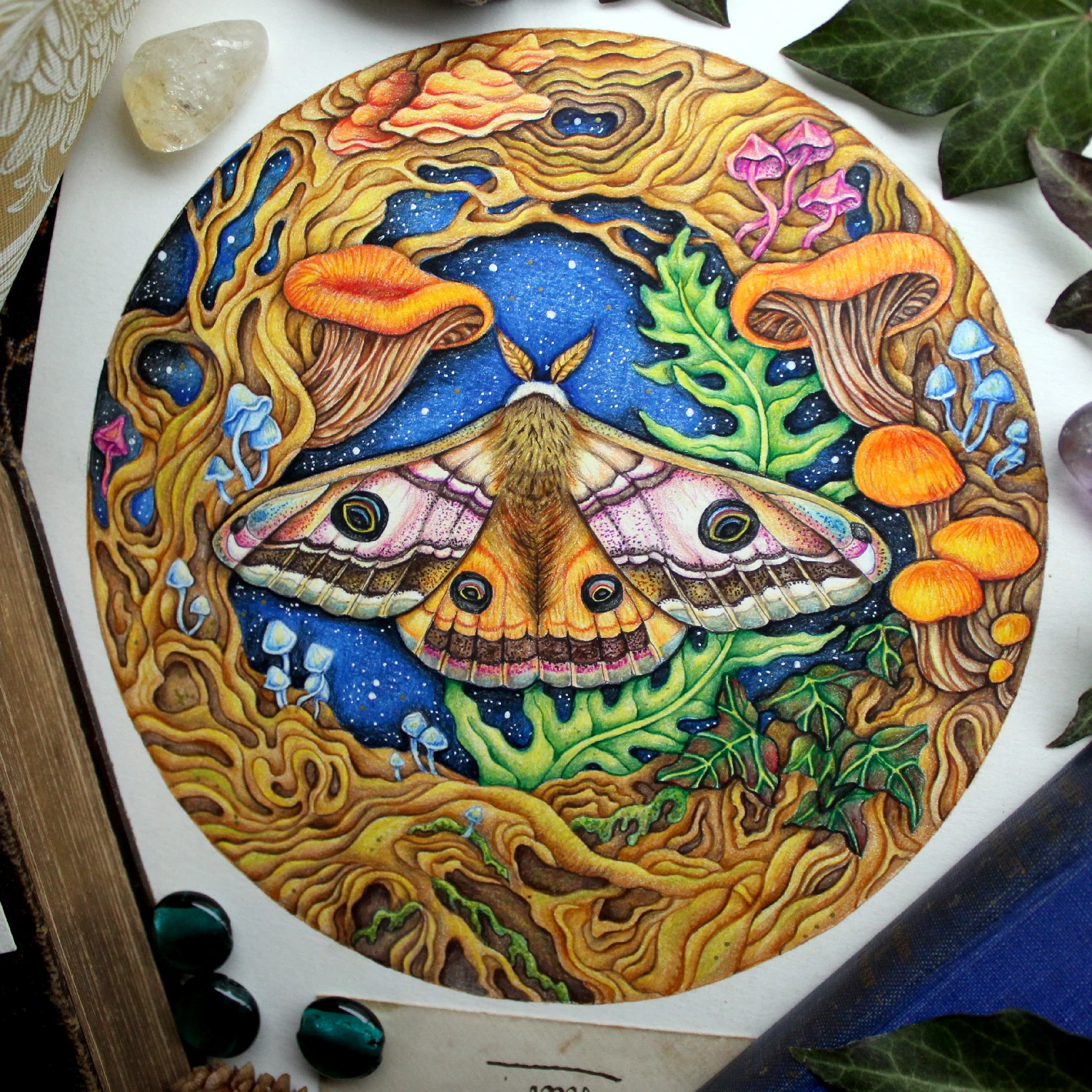 Emperor Moth Artwork